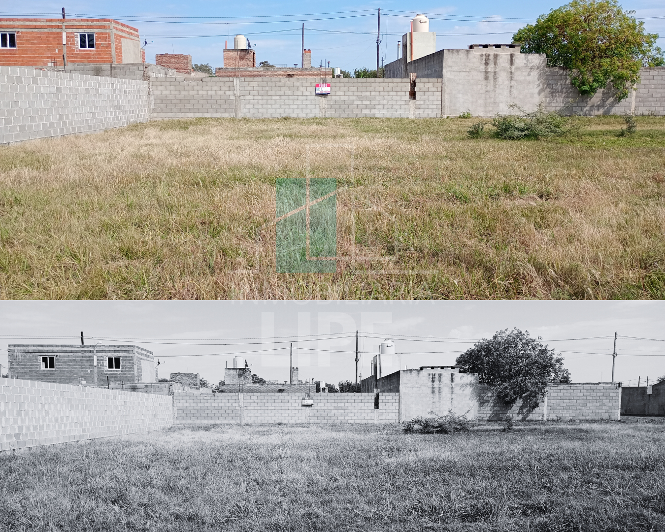 WEB Humahuaca 150- (4)