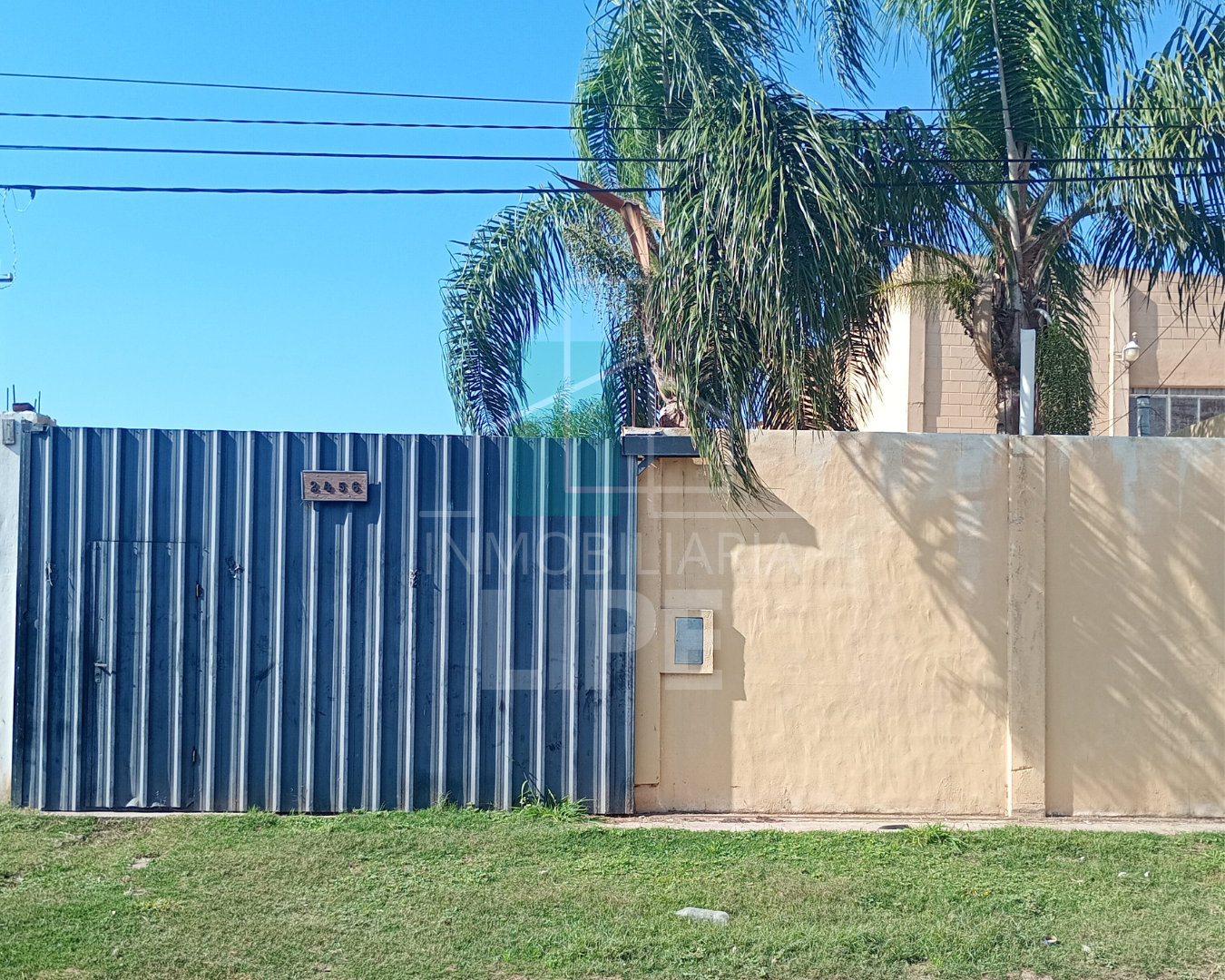 WEB.Bolivar 2456 (1)
