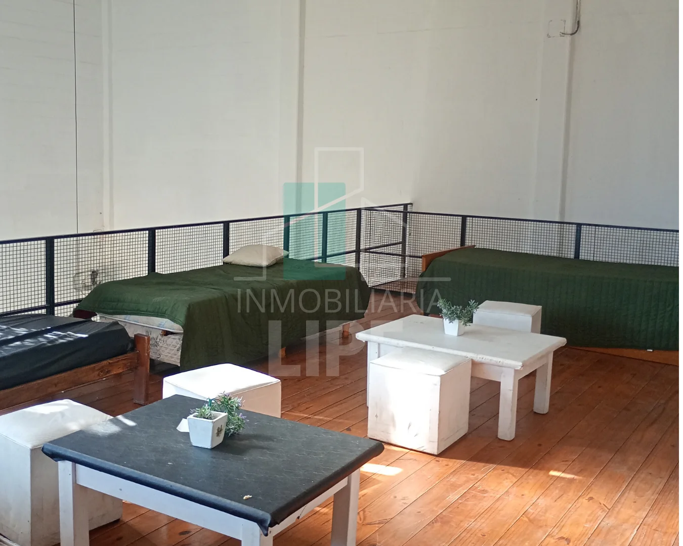 WEB.Bolivar 2456 (13)